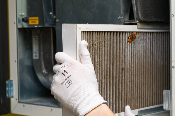 Best Affordable Air Duct Cleaning  in Boulevard Park, WA